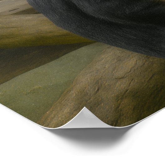 Snub-Nosed Monkey in Woodland Refuge Poster (Hoek)