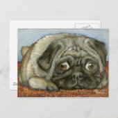 snuffel briefkaart (Voorkant / Achterkant)