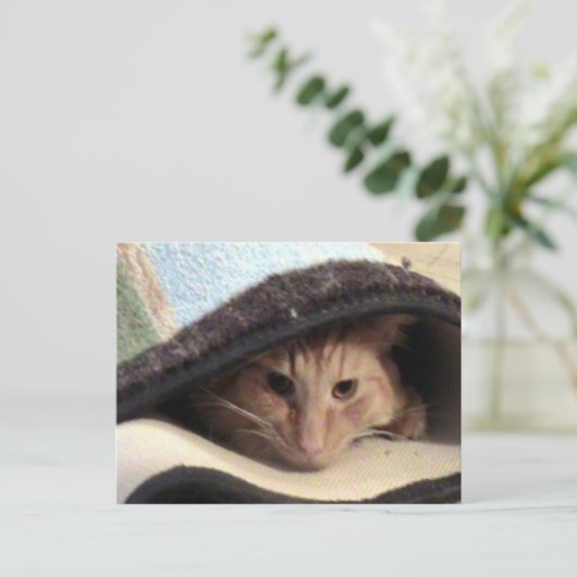 Snug als Briefkaart (Staand voorkant)