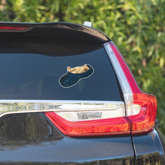 Snug as a Bug: De Croc Nap van de Kitten Sticker (Auto Zijkant)