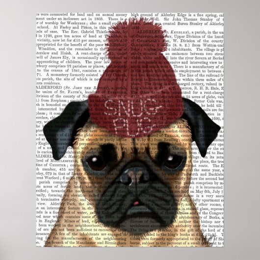 Snug Pug Poster (Voorkant)