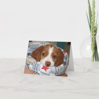 Snuggle Brittany Puppy Notecard Kaart