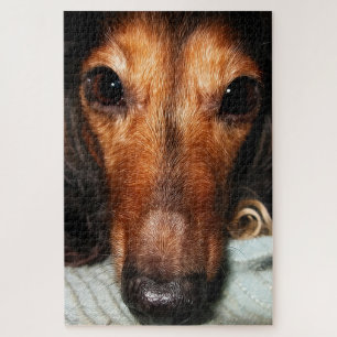 Snuggle Bugs MacKenzie Legpuzzel