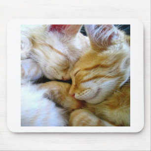 Snuggle Kittens Mousepad Muismat