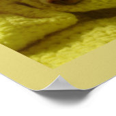 Snuggled Chihuahua Puppy Poster (Coin)