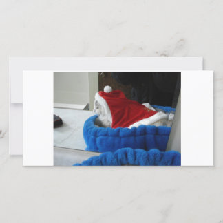 Snuggler is de Poten van de Kerstman Feestdagenkaart