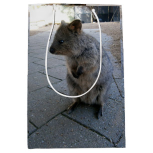 Snuggles in Australië: een knuffelgrijze quokka Medium Cadeauzakje