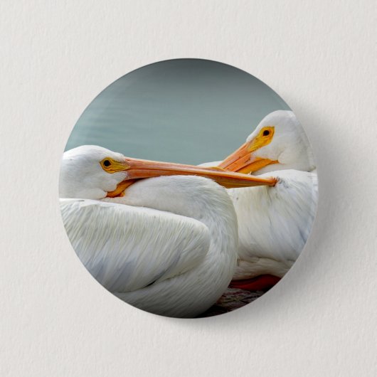 Snuggly Pelicans Ronde Button 5,7 Cm (Voorkant)