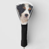 So Cute Cavalier King Charles Spaniel Puppy Golfheadcover (Voorkant)