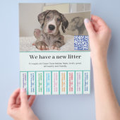 So verkaufen Sie Dane Welpen farbigen Flyer (Hand)