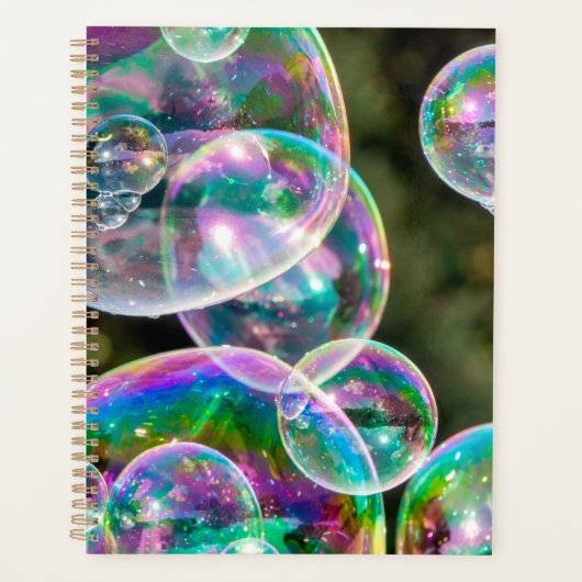Soap bubbles (Devant)