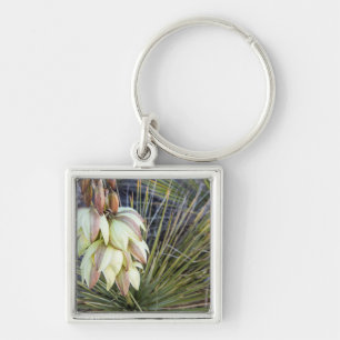 Soaptree Yucca Bloemen in de boven Missouri Sleutelhanger