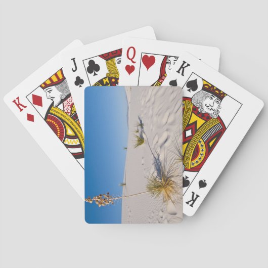 Soaptree Yucca, long Shadow, Transverse Dunes Speelkaarten (Achterkant)