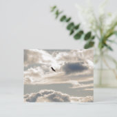 Soaring Bald Eagle Briefkaart (Staand voorkant)