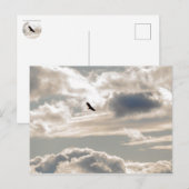 Soaring Bald Eagle Briefkaart (Voorkant / Achterkant)