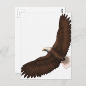 Soaring Bald Eagle Briefkaart (Voorkant / Achterkant)