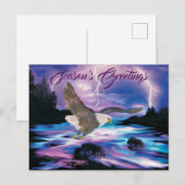 Soaring Bald Eagle Briefkaart (Voorkant / Achterkant)