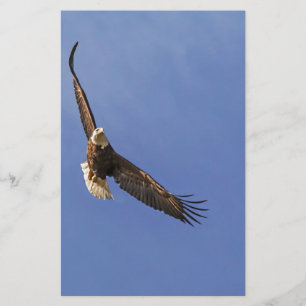 Soaring Bald Eagle Briefpapier
