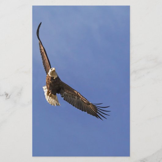Soaring Bald Eagle Briefpapier (Voorkant)
