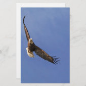 Soaring Bald Eagle Briefpapier (Voorkant / Achterkant)