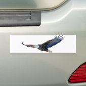Soaring Bald Eagle Bumpersticker (Op auto)