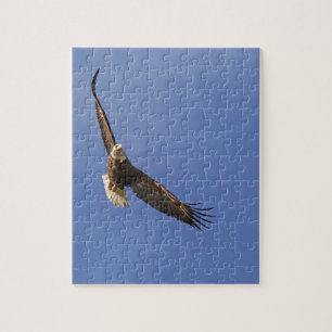 Soaring Bald Eagle Legpuzzel