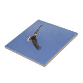 Soaring Bald Eagle Tegeltje (Zijkant)