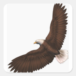 Soaring Bald Eagle Vierkante Sticker