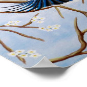 Soaring Blue Jay Poster (Hoek)