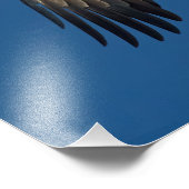 Soaring Eagle Foto Afdruk (Hoek)