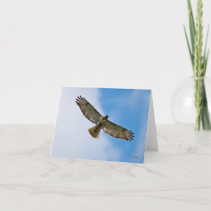 Soaring Hawk Note-Kaart Kaart