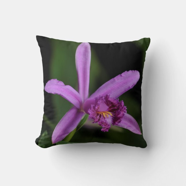Sobralia Bouchei Kussen (Voorkant)