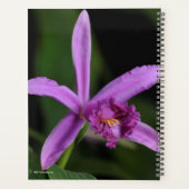 Sobralia Bouchei Planner (Achterkant)