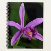 Sobralia Bouchei Planner (Voorkant)