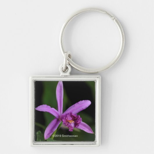 Sobralia Bouchei Sleutelhanger (Voorkant)