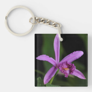 Sobralia Bouchei Sleutelhanger