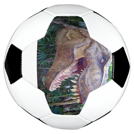 Soccer Ball Cute Dinosaur (Tourné)