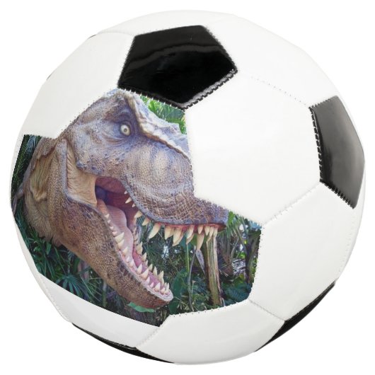 Soccer Ball Cute Dinosaur (3/4)