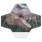Soccer Ball Cute Dinosaur (Plat)