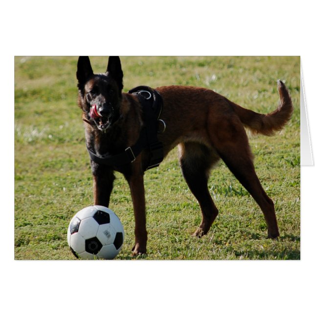 Soccer Dog (Voorkant Horizontaal)