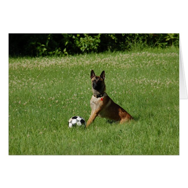 Soccer Malinois (Voorkant Horizontaal)