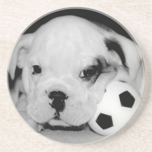 "Soccer Puppy" English Bulldog Zandsteen Onderzetter