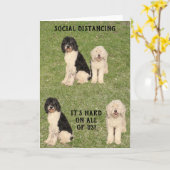 Social Distancing Golden Doodle Kaart (Gele Bloem)