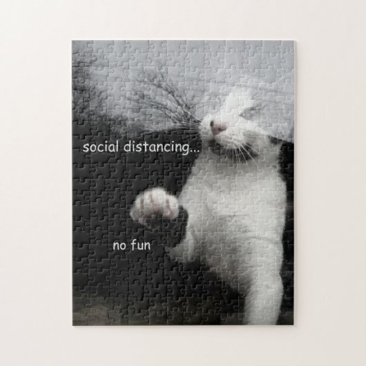 Social Distancing Kitten Legpuzzel (Verticaal)
