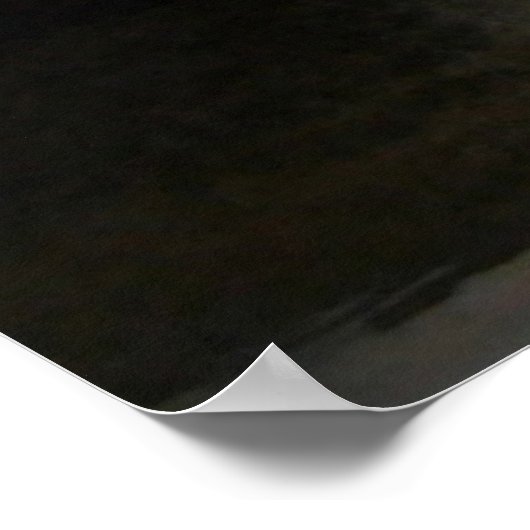 Social Distancing Kitten Poster (Hoek)