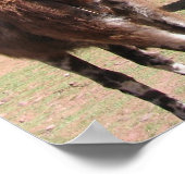 Sociale uren poster (Hoek)