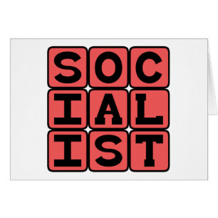 Socialiste, Affiliation politique