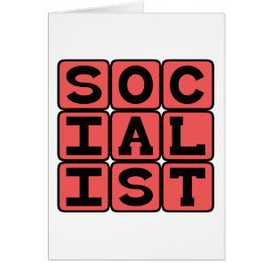 Socialiste, Affiliation politique