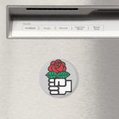 socialistische magneet (Insitu (Vaatwasser))