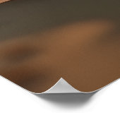 Sock Hop Eekhoorns Poster (Hoek)